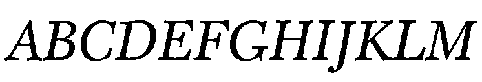 Caledonia CC Text Regular Italic Font UPPERCASE