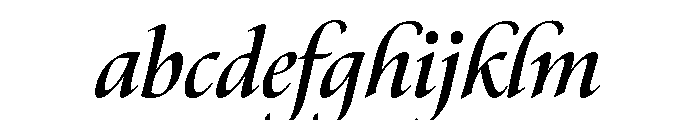 Canto Bold Italic FONT