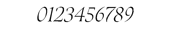 Canto Brush Light Italic Font OTHER CHARS