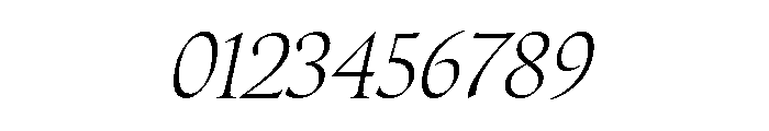 Canto Light Italic Font OTHER CHARS