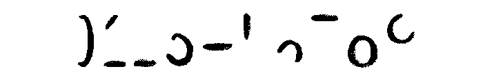 Canvas Curly Sans Two Font OTHER CHARS
