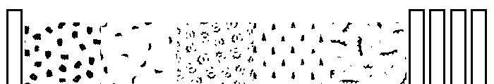 Canvas Rena Gardens B Font OTHER CHARS