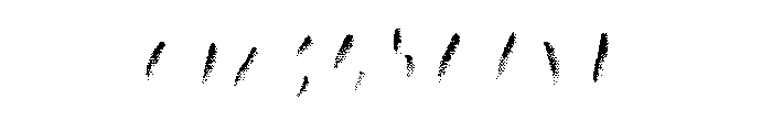 Canvas Script Heavy Accent B Font OTHER CHARS