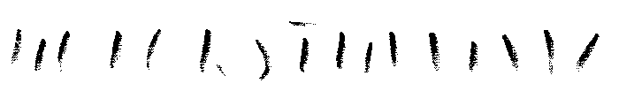 Canvas Script Heavy Accent B Font UPPERCASE