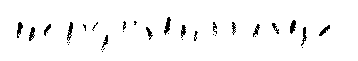 Canvas Script Heavy Accent B Font LOWERCASE