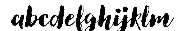 Canvas Script Heavy FONT