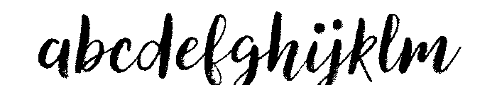 Canvas Script Regular FONT