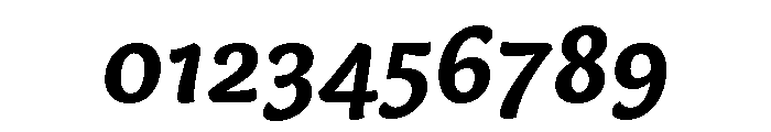 Capucine Bold Italic Font OTHER CHARS