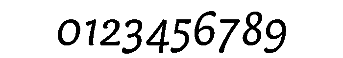 Capucine Regular Italic Font OTHER CHARS