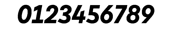 Cardium Narrow Bold Italic Font OTHER CHARS