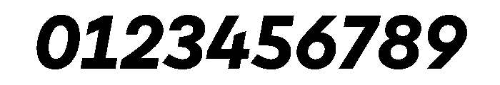 Cardium Normal Bold Italic Font OTHER CHARS