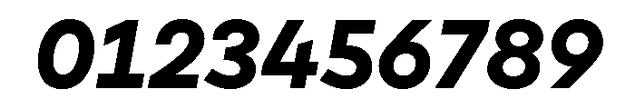 Cardium Wide Bold Italic Font OTHER CHARS