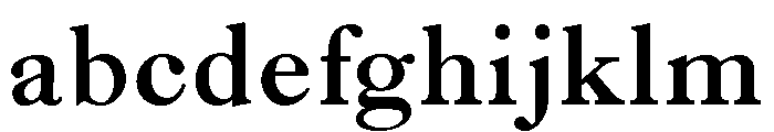 Caslon Bold FONT