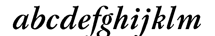 Caslon Long Bold Italic FONT