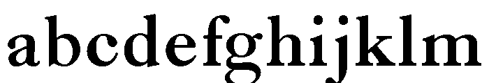 Caslon Long Bold FONT