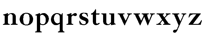 Caslon Long Bold Font LOWERCASE