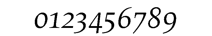 Census Variable Italic Font OTHER CHARS