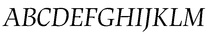Census Variable Italic Font UPPERCASE