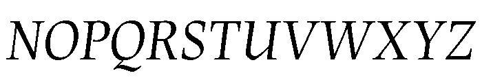 Census Variable Italic Font UPPERCASE