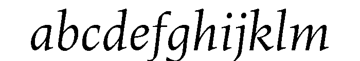 Census Variable Italic FONT