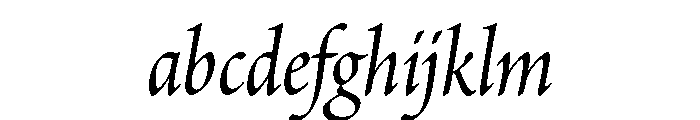 Census Variable Regular FONT