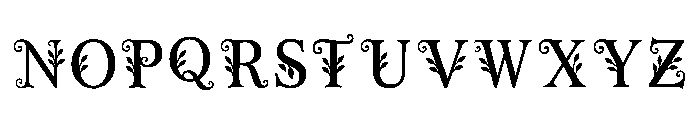 Cedar Regular Font LOWERCASE