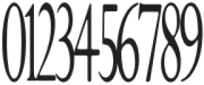 CeglarSerif otf (400) Font OTHER CHARS
