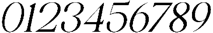 Celima Slanted otf (400) Font OTHER CHARS