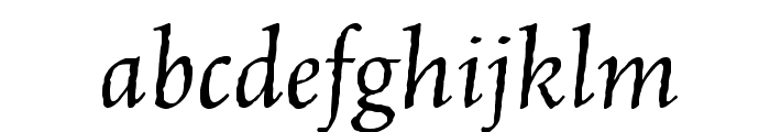 CelestiaAntiquaStd-Italic Font LOWERCASE