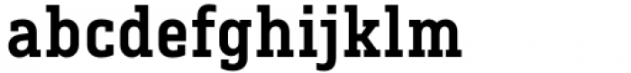 Centima Pro  Serif Bold Font LOWERCASE