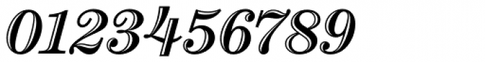 Century Handtooled Std Bold Italic Font OTHER CHARS