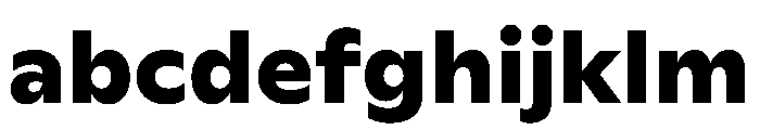 Ceno Bold Instance FONT