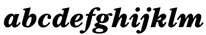 Century New Style Bold Italic FONT