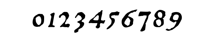 1499AldeManucePro-Italic Font OTHER CHARS