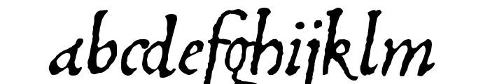 1499AldeManucePro-Italic Font LOWERCASE