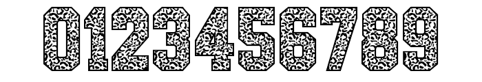 AB LEOPARD VARSITY Font OTHER CHARS