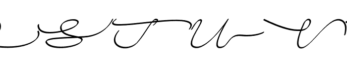 AMLMonogram Calligraphy 02 Font UPPERCASE