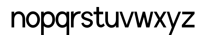 AVELINO STD Bold Font LOWERCASE