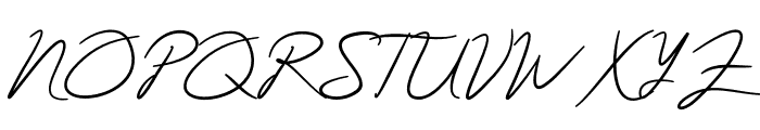 Acterum Signature Font Font UPPERCASE