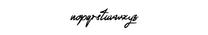 Acterum Signature Font Font LOWERCASE
