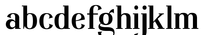 Adhesian Bold Font LOWERCASE