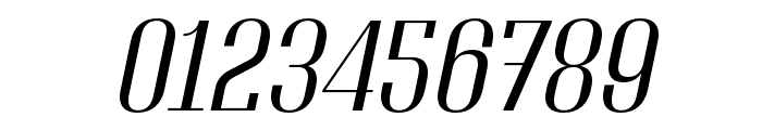 Adirek Serif Light Italic Font OTHER CHARS