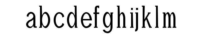 Adney-Regular Font LOWERCASE