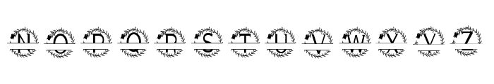 Aesthetic Monogram Font UPPERCASE