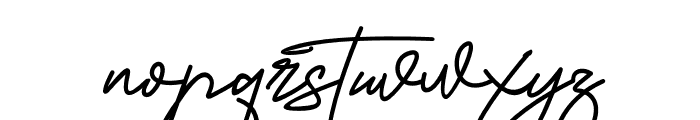 Agustina Signature Font LOWERCASE