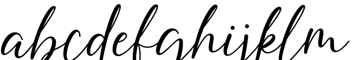 Ainsley Script Font LOWERCASE