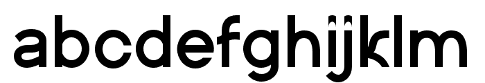 AkashicFont-Regular Font LOWERCASE