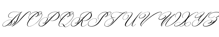 Aldyn Heart Italic Font UPPERCASE