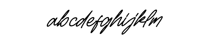 Alexandria Whitehouse Italic Font LOWERCASE