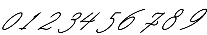 Aliantyara Signature Italic Font OTHER CHARS